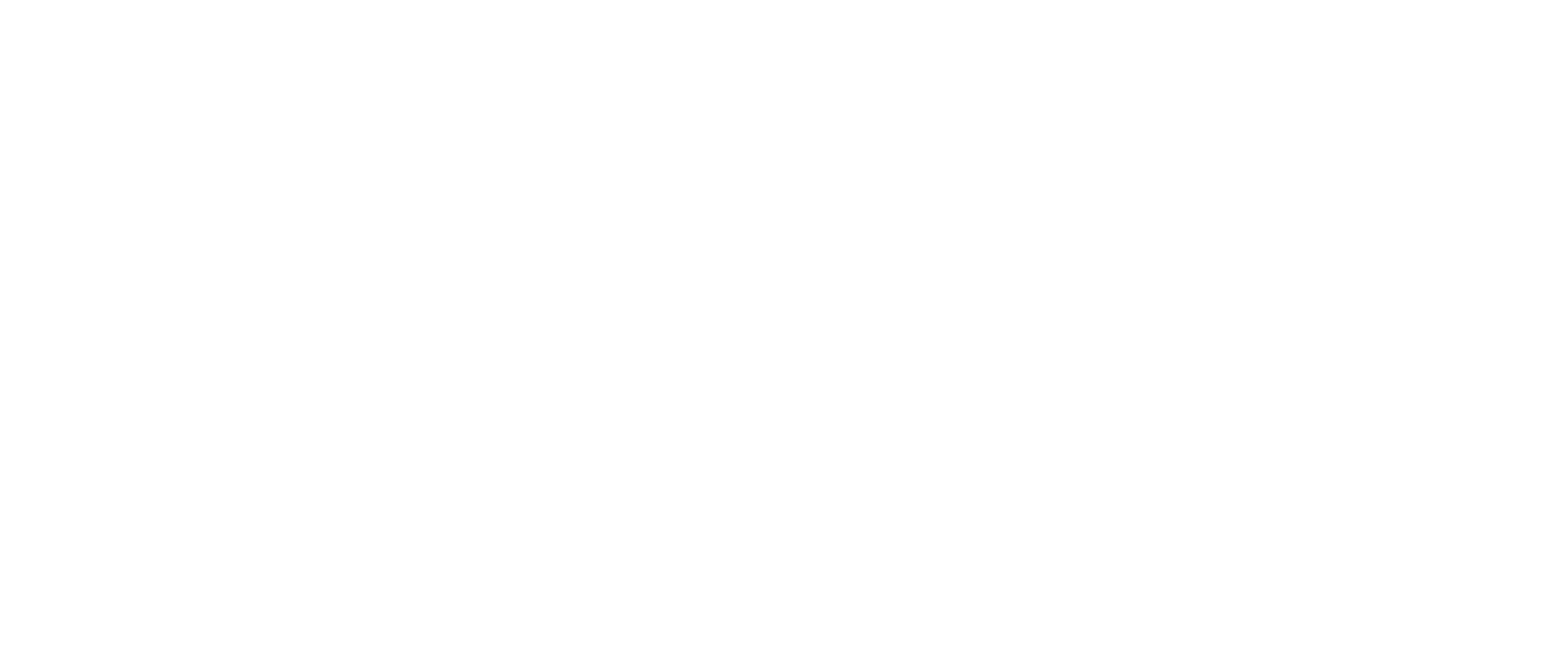 Logo PDM